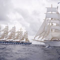 Royal Clipper Ship